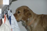 P1220332.JPG - 2006:01:22 10:22:04