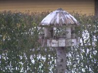 P1220299.JPG - 2006:01:22 10:14:47