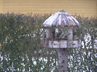 P1220300.JPG - 2006:01:22 10:14:52