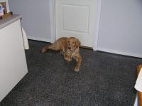 P1220305.JPG - 2006:01:22 10:15:32