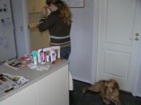 P1220307.JPG - 2006:01:22 10:15:41