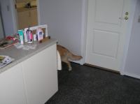 P1220308.JPG - 2006:01:22 10:15:49