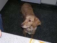 P1220311.JPG - 2006:01:22 10:16:10