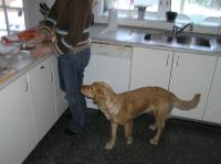 P1220315.JPG - 2006:01:22 10:16:38