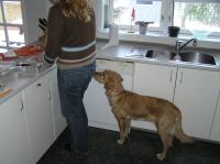 P1220317.JPG - 2006:01:22 10:17:05