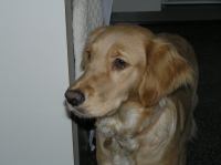 P1220333.JPG - 2006:01:22 10:22:25