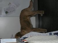 P1220334.JPG - 2006:01:22 10:22:32