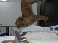 P1220335.JPG - 2006:01:22 10:22:35