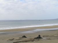 P1310011.JPG - 2006:01:31 12:41:56