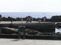 P1310012.JPG - 2006:01:31 13:07:46