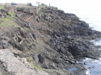 P1310026.JPG - 2006:01:31 14:33:20