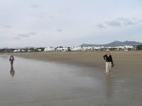 P2010062.JPG - 2006:02:01 13:01:03