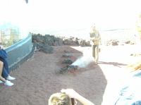 P2020133.JPG - 2006:02:02 15:12:17