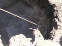 P2020143.JPG - 2006:02:02 15:21:11