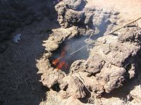 P2020145.JPG - 2006:02:02 15:24:02