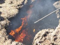 P2020146.JPG - 2006:02:02 15:24:06