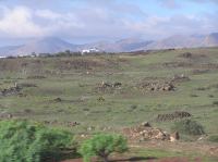 P2030163.JPG - 2006:02:03 12:16:18