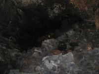 P2030177.JPG - 2006:02:03 13:18:45