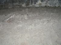 P2030181.JPG - 2006:02:03 13:27:27