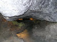 P2030185.JPG - 2006:02:03 13:31:18