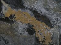 P2030191.JPG - 2006:02:03 13:38:10