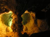 P2030201.JPG - 2006:02:03 13:55:08