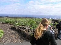 P2030202.JPG - 2006:02:03 14:04:11