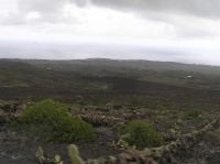 P2030204.JPG - 2006:02:03 14:40:53