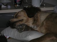 P2190037.JPG - 2006:02:19 10:42:37