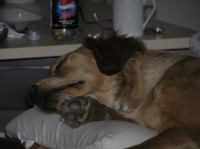 P2190038.JPG - 2006:02:19 10:42:55