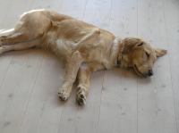 P3050041.JPG - 2006:03:05 16:07:34