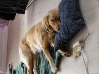 P4170001.JPG - 2006:04:17 16:41:27