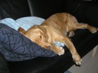 P4210004.JPG - 2006:04:21 19:54:27