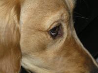 P4210014.JPG - 2006:04:21 19:57:12