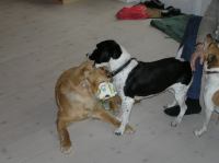 P4230029.JPG - 2006:04:23 14:34:48