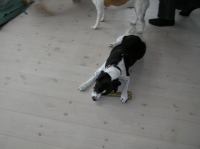 P4230031.JPG - 2006:04:23 14:35:33