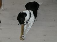 P4230033.JPG - 2006:04:23 14:35:43