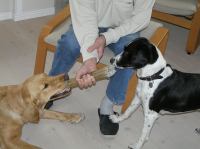 P4230034.JPG - 2006:04:23 17:05:53