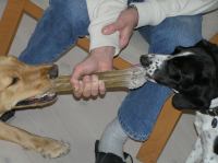 P4230035.JPG - 2006:04:23 17:05:57