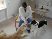 P4230036.JPG - 2006:04:23 17:06:11