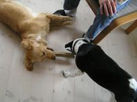 P4230049.JPG - 2006:04:23 17:07:12