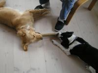 P4230050.JPG - 2006:04:23 17:07:18