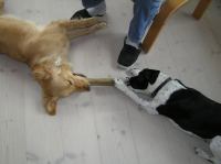 P4230051.JPG - 2006:04:23 17:07:22