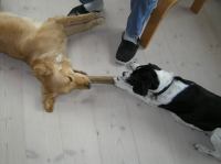 P4230052.JPG - 2006:04:23 17:07:25