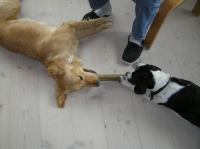 P4230053.JPG - 2006:04:23 17:07:37