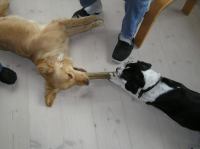 P4230054.JPG - 2006:04:23 17:07:44