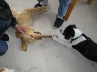 P4230055.JPG - 2006:04:23 17:07:49