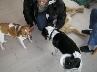 P4230056.JPG - 2006:04:23 17:07:54