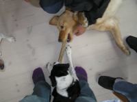 P4230057.JPG - 2006:04:23 17:08:00