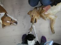 P4230059.JPG - 2006:04:23 17:08:09